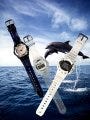 カシオ、G-SHOCK/Baby-G - イルカ・クジラ・エコリサーチネットワーク協賛