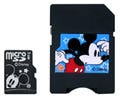 ラナ、ディズニーキャラクター入りのmicroSDカード