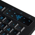 MSY、Razer製マウス&キーボードの新製品を12月12日にリリース