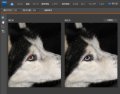 ゼロからはじめるPhotoshop Elements 7 - 新機能で写真加工をさらに効率的に