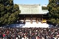 初詣だけじゃ物足りない! 人気の神社・仏閣エリアの欲張りスポット情報