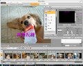 こだわりの演出も可能なスライドショー作成ソフト「MAGIX Photo Motion」