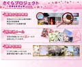 今年の桜の元気度は? - 桜の健康診断「花数調査」開始、ウェザーニューズ