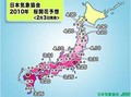 桜の開花予想、今年は早めの予想 - 各地の開花予想日は?