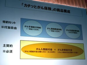 ネットで申込み可、"保険料割安"のがん保険2タイプ発表 - ネクスティア生命