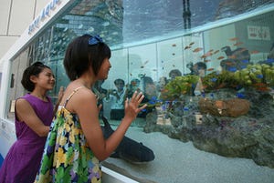 ジンベエザメやマンタが3Dで - 43rd Sony Aquarium -3D 沖縄美ら海水族館-