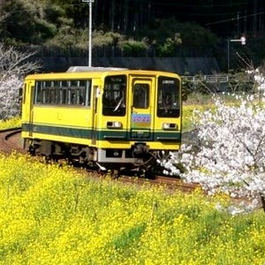 めざせ鉄道運転士 - いすみ鉄道自社養成乗務員訓練生　エントリー受付開始