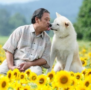 号泣必至! 犬との旅路を通して愛を描く映画『星守る犬』の試写会にご招待