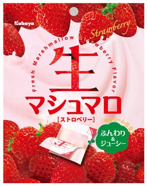 なにこの食感! ふんわりしっとり、とろける「生マシュマロ」