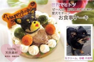 愛犬の顔がケーキに！全部野菜と肉でできた、犬用食事ケーキ発売