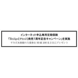 オリックス生命、ネット専用定期保険「ブリッジ」の1周年記念キャンペーン