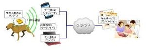 ペットの健康管理を支援する、首輪に装着できる小型・軽量デバイスを開発