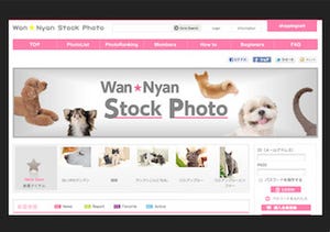 「うちの子がメディアに登場しちゃう?!」～犬猫専用写真販売サイトが開設