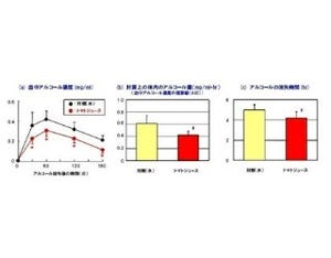 トマトは二日酔いに効く!?　飲酒後の血中アルコール濃度低下効果を実証