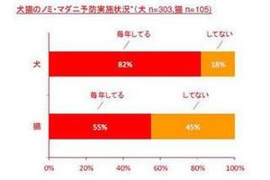 犬は82％、猫は55％が毎年ノミ・マダニ予防を実施 - ペットビジョン