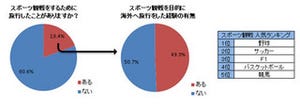 スポーツ観戦目的の旅行、5人に1人が経験あり―フォートラベル調べ