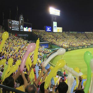 甲子園球場でビールの売り子体験、親子向けツアー参加者募集中