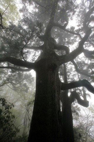 ガマ石の口に石が入ると願いが叶う。茨城県筑波山のパワスポめぐり参加者募集