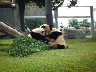 行ってよかった動物園&水族館は? ランキング2012を発表