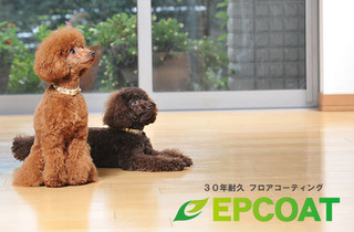 ペットや赤ちゃんにもやさしい、輝きを保つフロアコーティング「EPCOAT」