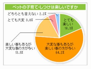 ペットの子育て・しつけは「楽しい」が8割以上～「ペットとの暮らし」調査