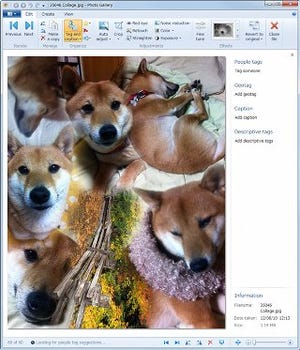 Windows 8を支える「Windows Essentials 2012」が登場 - Office専用の「Office Store」も発表