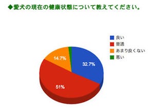 シニア犬の健康の秘訣は?  - ペット総研調査