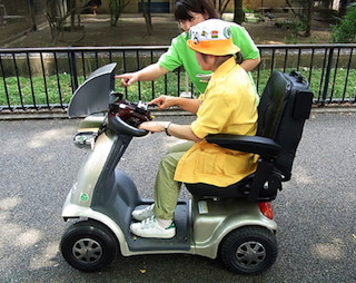 乗って見て知る! 「ユビキタス電動カート」の試験運用を実施 - 上野動物園