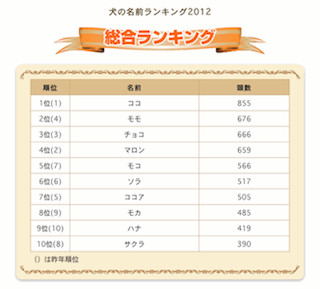 愛犬の名前で多いのは? 「犬の名前ランキング2012」 -アニコム損害保険