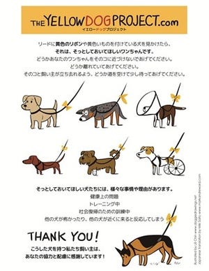 黄色いリボンをつけた犬に近づいてはいけない理由