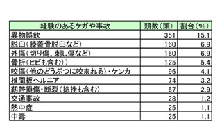 約半数のペットがケガや事故を経験。最多は「異物誤飲」-アニコム損害保険