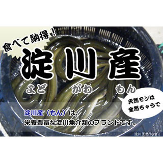 大阪府の淀川で天然うなぎがとれる! そのお味は?