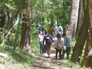 山梨県小菅村は星に近い村、「星のヒカリと恋のヒカリ」で出会いを探す!