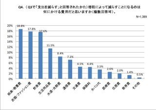 消費増税で減らす費用、"娯楽・教養費"が最多・"衣類・ファッション費"続く