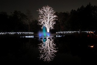 京都府の京都府立植物園が期間限定で夜間オープン。まゆまろサンタも登場!