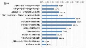 介護の不安の3大要素は「介護者自身の精神・経済・時間」 - buzzLife調査