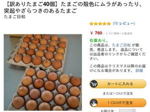 人はKindleとAmazonだけで生きていけるのか(1日目)