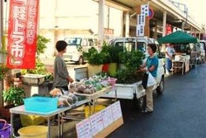 三重県伊勢神宮近くに軽トラが連なる、うらのはし軽トラ市ってどんな市場?