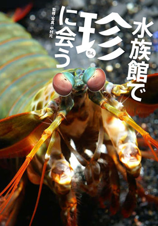 見た目が珍妙な珍生物を100種類以上紹介するガイドブックが発売