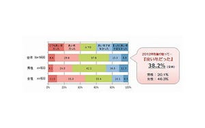 2013年はどんな年にしたい?　漢字で表すと「幸」が1位 - マーシュ調べ