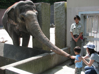 神奈川県・金沢動物園で、動物たちにバレンタインプレゼント実施