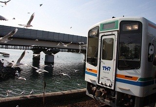 静岡県浜松市に "かもめの駅長"の呼ぶゆりかもめが大群で訪れる駅がある!