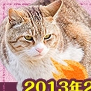 「俺のぬこフォルダが火を噴くぜ!」ニコニコでにゃんこ特集&動画コンテスト