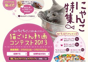 俺の猫フォルダが火を噴くぜ!　niconicoで猫動画や猫イラストを募集