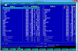 世界のファイラーから - 2013年現在も開発が続けられている「Midnight Commander」