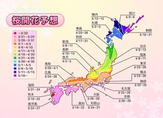 ウェザーニューズ、第1回桜開花予想発表。都心周辺の開花ピークは3月下旬に