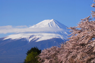 韓国人観光客の関心は「富山」!?- 「日本都道府県名」検索ランキングin韓国