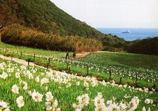 兵庫県の淡路島にある水仙郷には、UFOが飛ぶ上にパラダイスもあった!