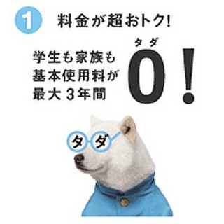 ゴールデンボンバーのライブに招待! ソフトバンク「ホワイト学割」加入者から200名