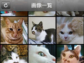 NTTレゾナント、厳選ねこブログが閲覧できるiPhoneアプリ「ねこログ」